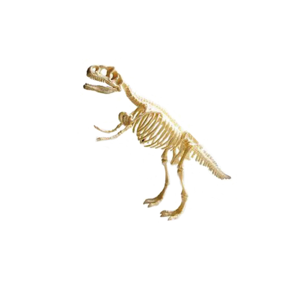 공룡화석 발굴 KIT(티라노사우르스)-A형