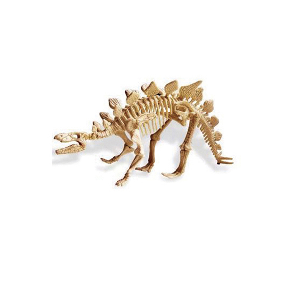 공룡화석 발굴 KIT(스테고사우르스)-A형