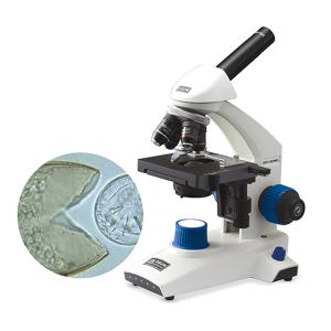 생물현미경-OSH-MFL