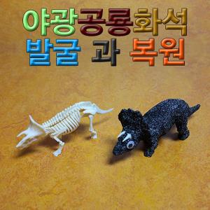 야광공룡화석 발굴과 복원(발굴형)/(복원형)