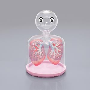 호흡의구조모양(허파실험장치)